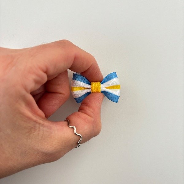 Producto - Escarapela bandera