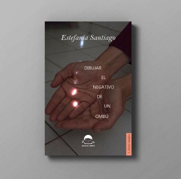 Producto - Dibujar el negativo de un ombú - Estefanía Santiago