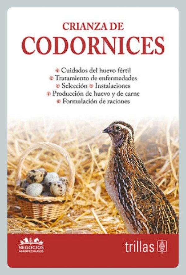 Producto - Crianza de Codornices