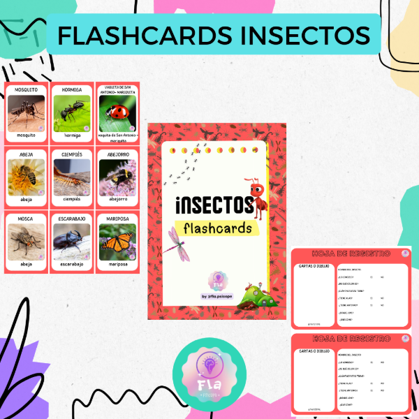 Producto - Flashcards Insectos