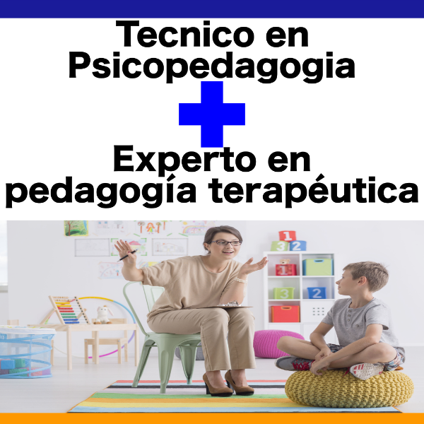 Producto - Tec. en Psicopedagogia y Exp. en pedagogía terapéutica-COMBO por modulo