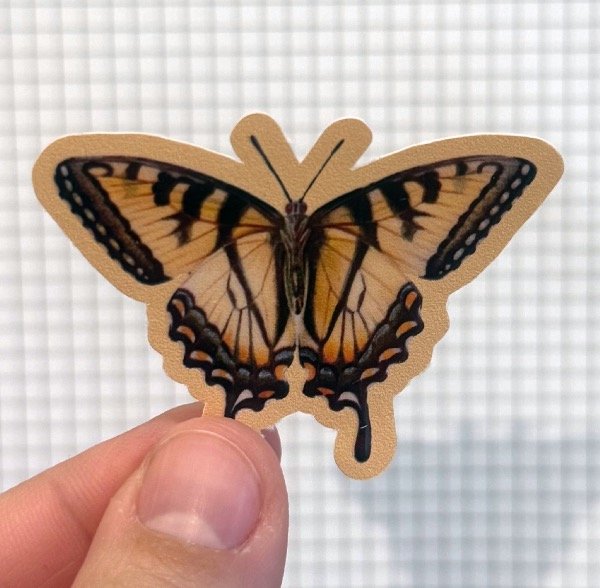 Producto - Sticker mariposa neutra