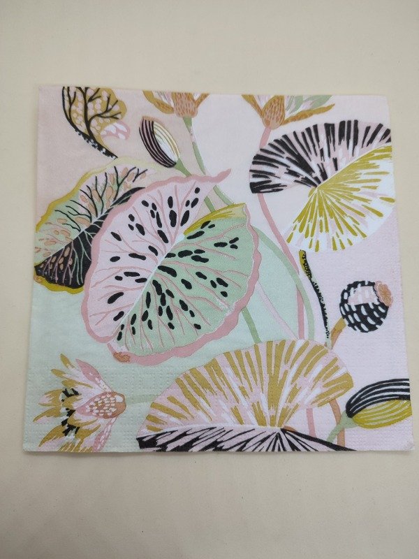 Producto - Paradisio lotus