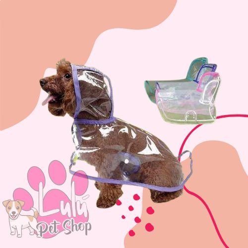 Producto - PILOTOS TRANSPARENTES BRILLO