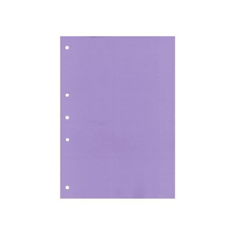 Producto - SEPARADOR CARTULINA A4 LILA