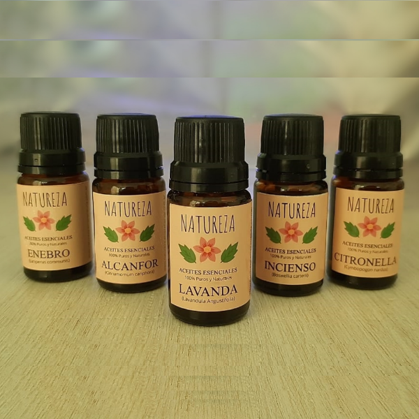 Producto - Alcanfor (Cinnamomum camphora)