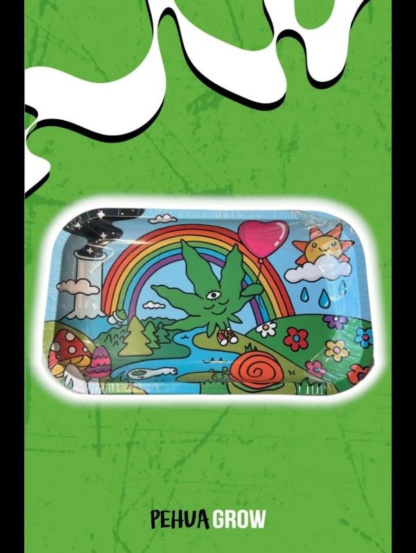 Producto - Bandeja diseño caricaturesco