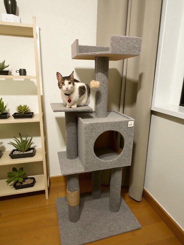 Producto - Rascador Athos PROMO STOCK