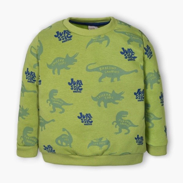 Producto - Buzo Jurassic estampado