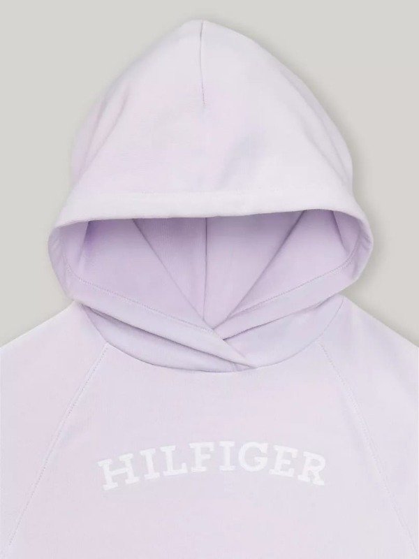 Producto - BUZO CROP LILAC