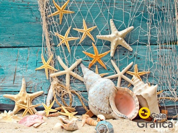 Producto - Mar Playa FS 14
