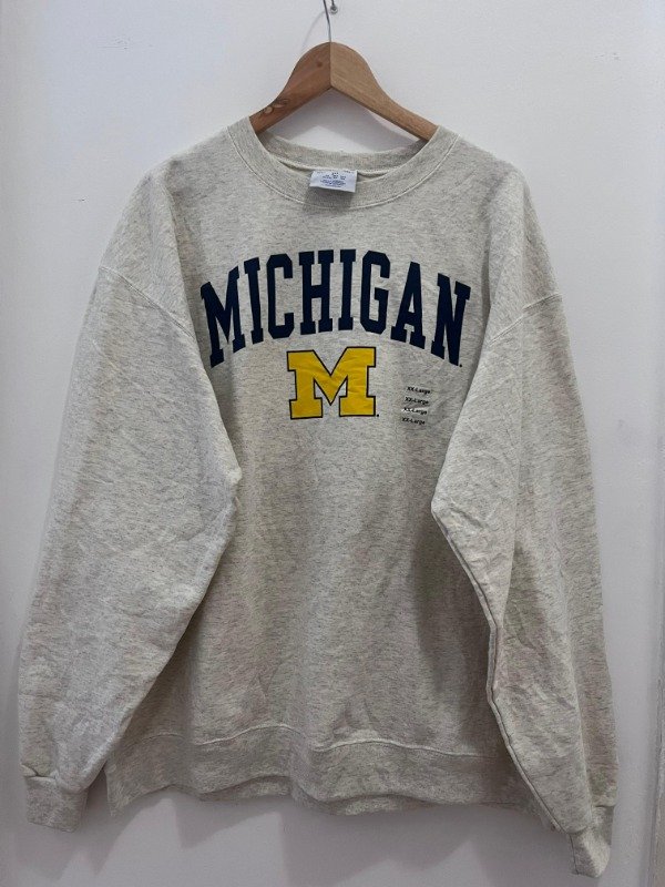 Producto - BUZO CHAMPION MICHIGAN