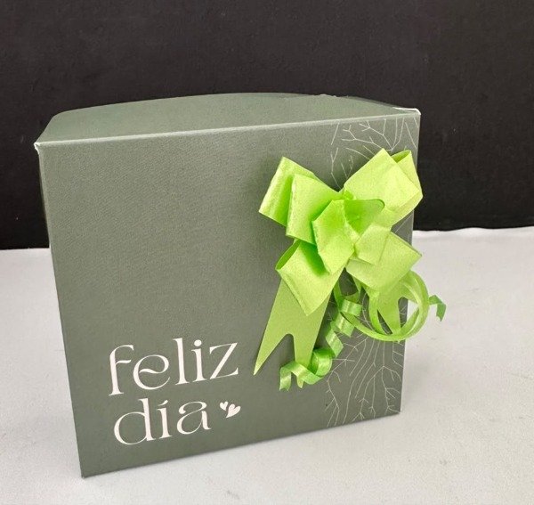 Producto - Box Verde - Feliz Día