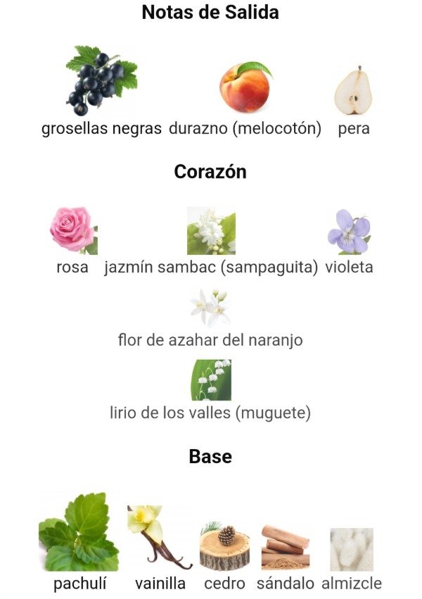 Producto - Luna Intenso Natura 10ml - 2