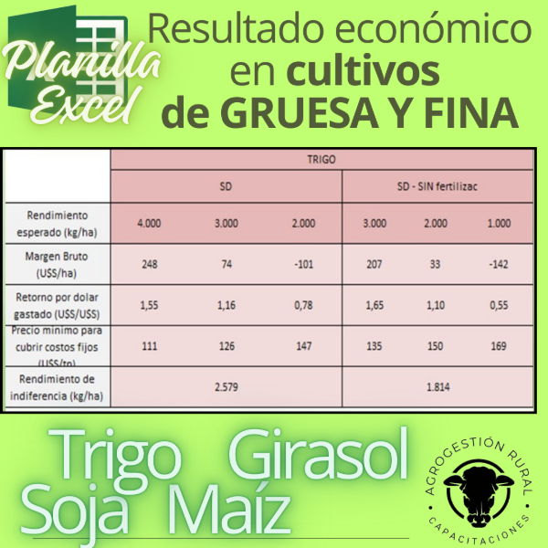 Producto - Planilla Excel de resultado económico en cultivos de GRUESA Y FINA