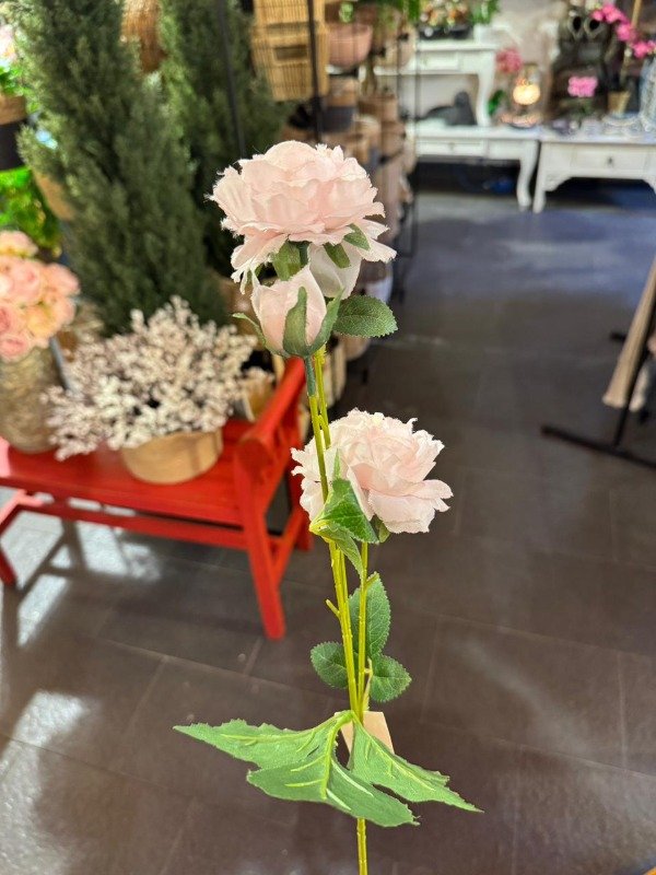 Producto - Vara Clavel Doble rosa 65 cm (Efectivo: 5.200)