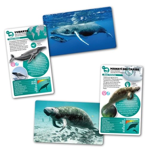 Miniatura de producto - 6