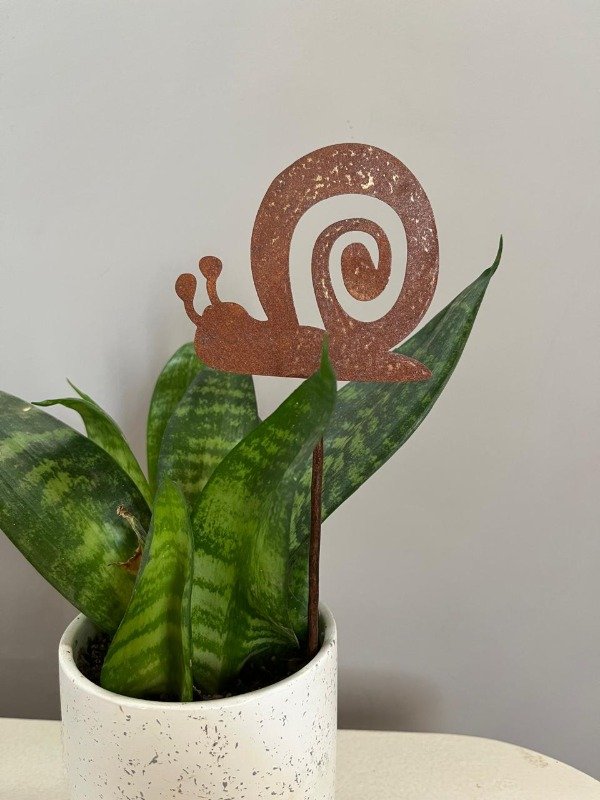 Producto - Minitutor caracol