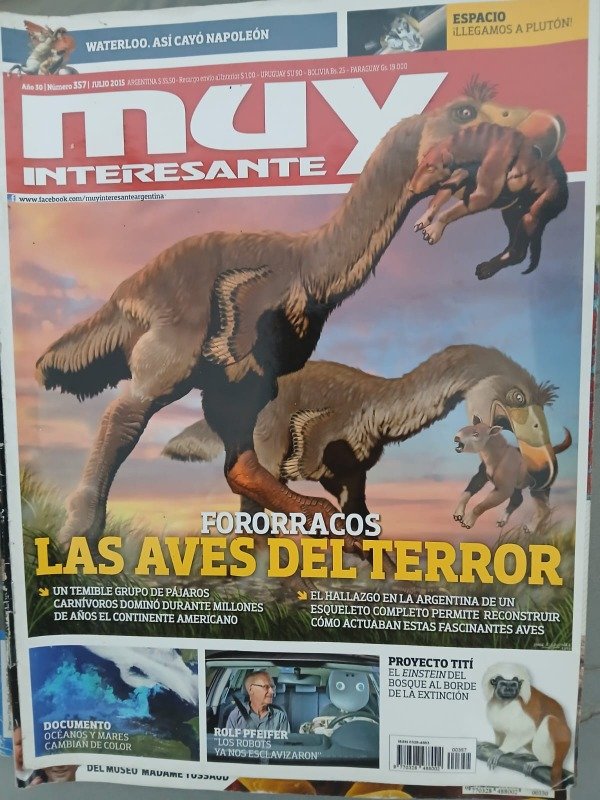 Producto - REVISTA MUY INTERESANTE N 357