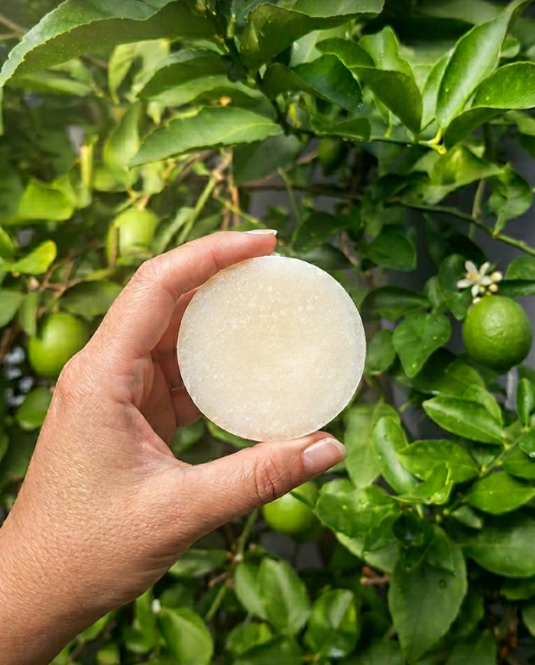 Producto - Acondicionador Sólido de Coco, Romero y Naranja