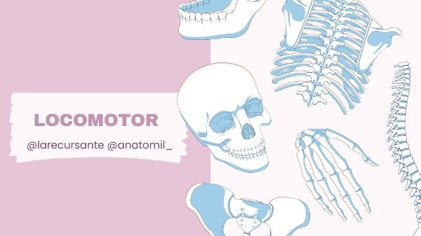 Producto - fichas locomotor - pdf