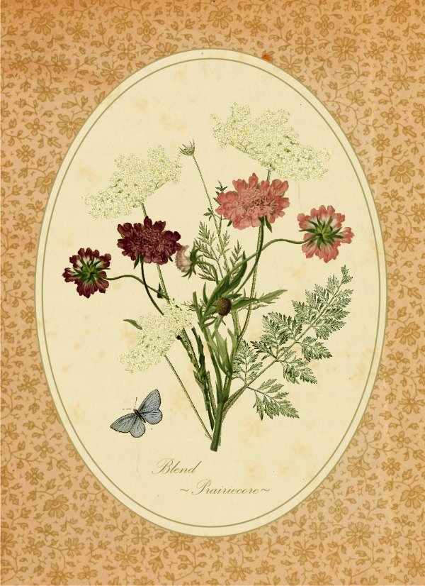 Producto - Blend de Semillas "Prairiecore"