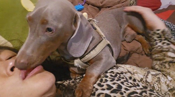 Producto - 25-007 Silver Kiss (5.24 min)