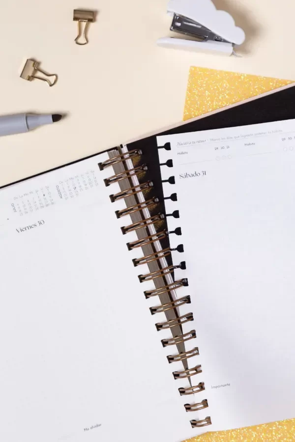Producto - MI AGENDA AURA 2 DIAS POR HOJA 2027 - 17