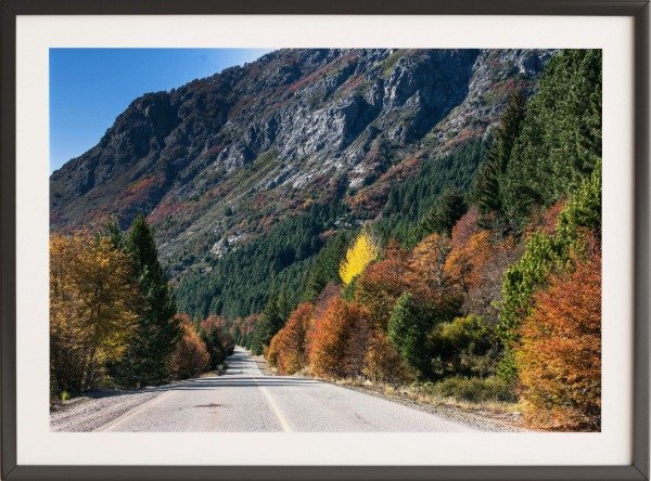 Producto - Ruta  Patagónica Otoñal