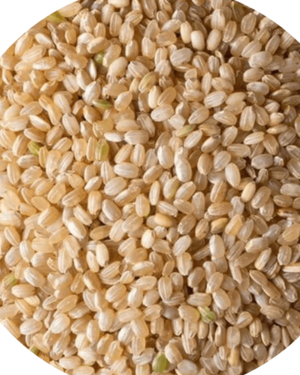 Producto - Arroz Yamani Agroecologico