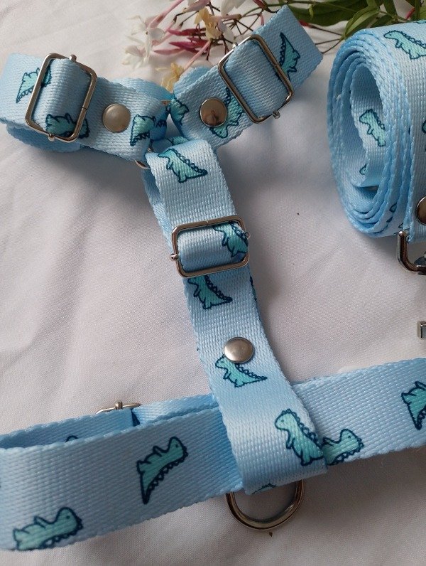 Producto - Conjunto Dino Baby Blue - 4