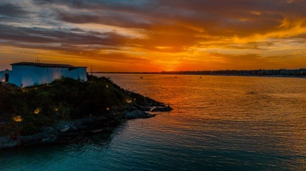 Producto - Fortaleza dos gatos