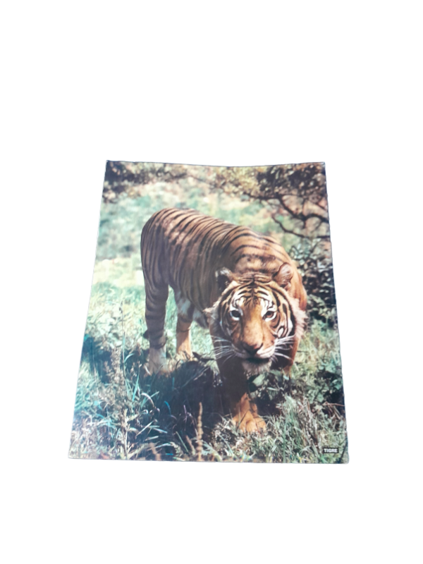 Miniatura de producto - 7