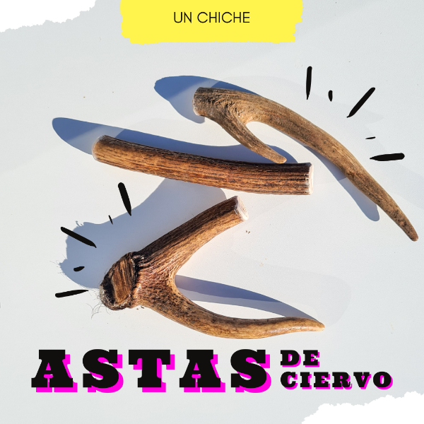 Producto - Astas de Ciervo Axis