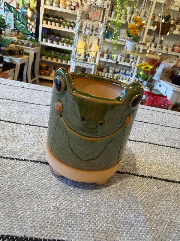 Producto - Maceta sapo verde 11cm - (Efectivo: 9.200)