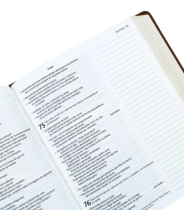 Producto - BIBLIA DE APUNTES NTV - Imitación Piel Marrón LEÖN - 5