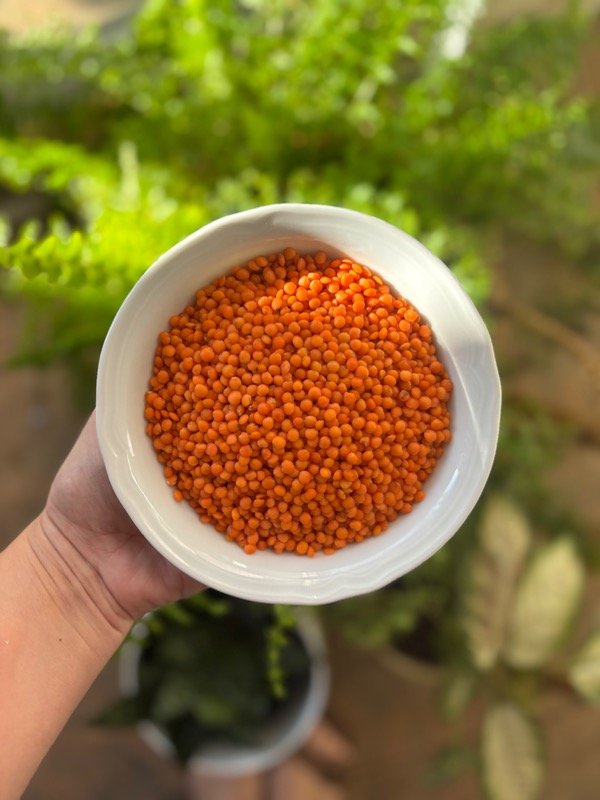 Producto - Lentejas Turcas