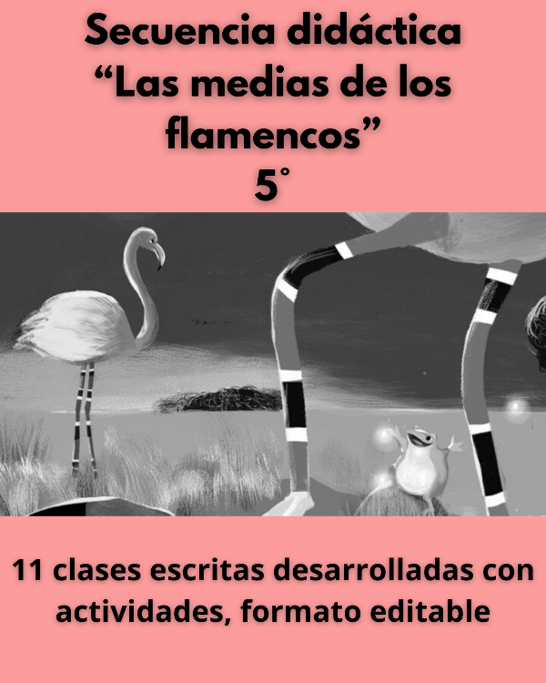 Producto - Secuencia didáctica 5to "Las medias de los flamencos"