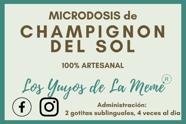 Miniatura de producto - 12