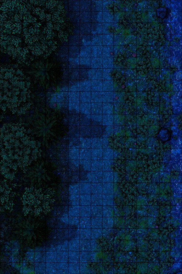 Producto - Camino en el bosque L - NOCHE