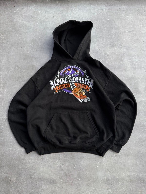 Producto - Hoodie Alpine Coaster T. M
