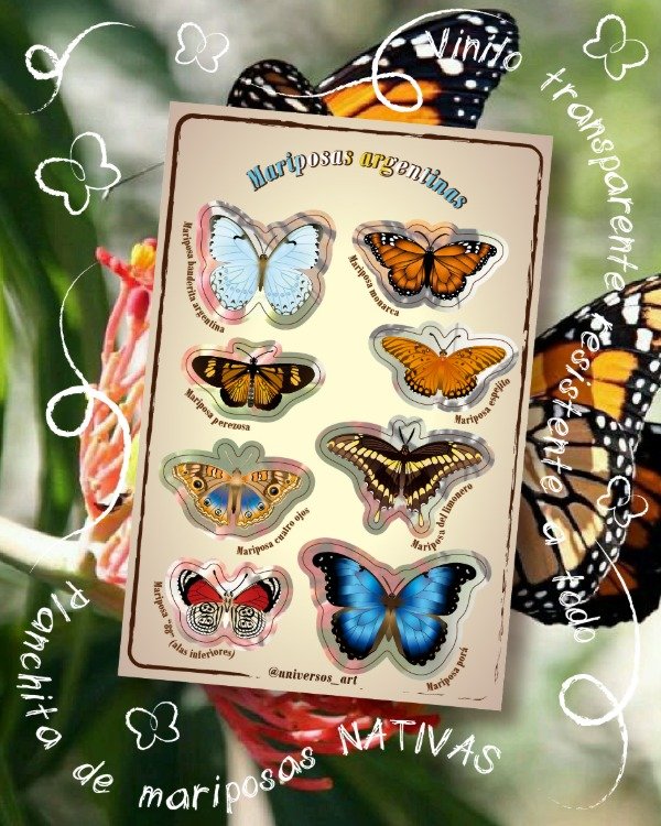 Producto - Planchita Mariposas