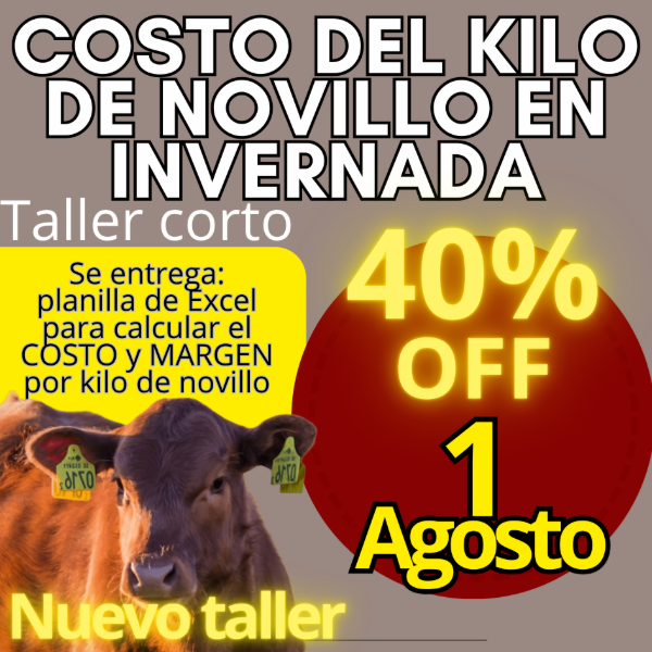 Producto - Taller corto: cálculo del costo del kilo de novillo