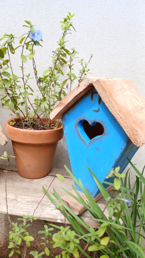 Producto - Casita nido " cielo" ( CPM 001)