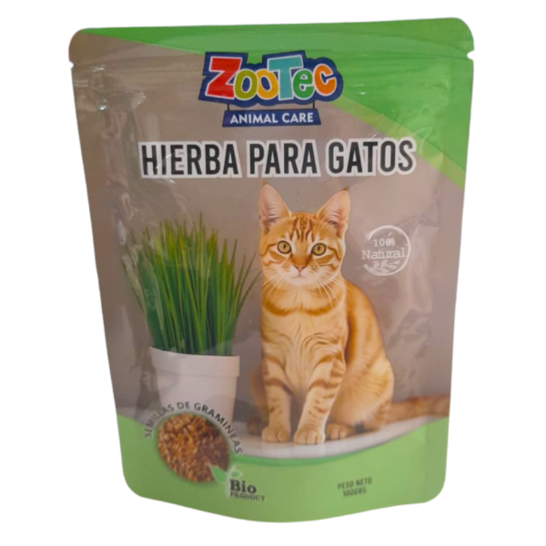 Producto - Semillas de Hierba Gatera para Gatos Catnip Cat Nip