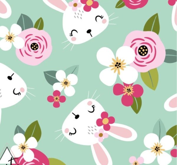 Producto - Rabbyt