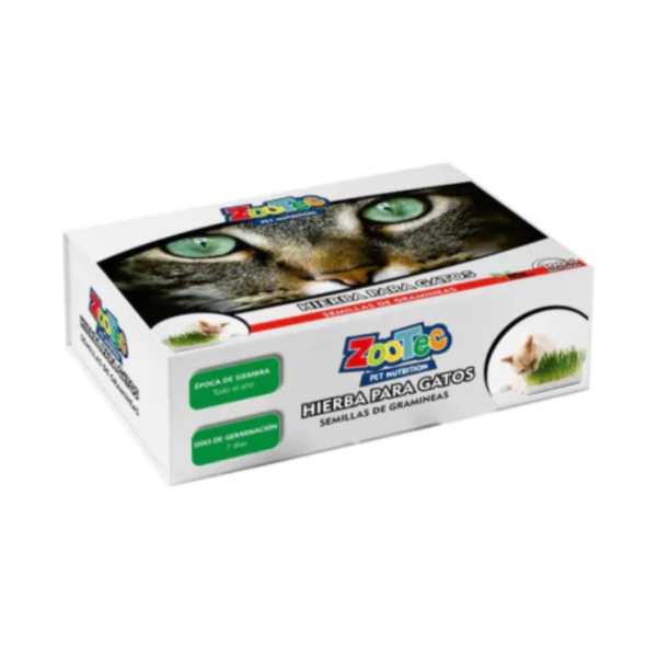 Producto - ZOOTEC Hierba Gatera Lista para Usar - Incluye Bandeja 7798133993728