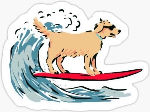 Producto - PERRITO SURF