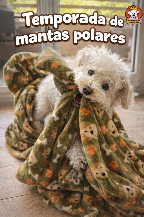 Producto - Manta Polar Verde Musgo (Estampada)
