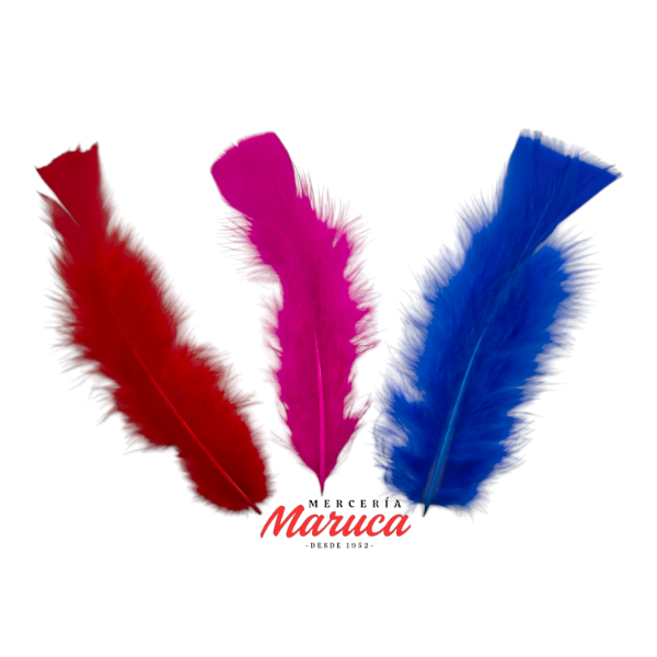 Producto - Plumas de gallo